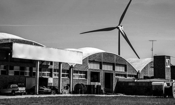 Walmart Mussel - 2013 Renewable Energy Transition